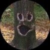 xtopher_robin